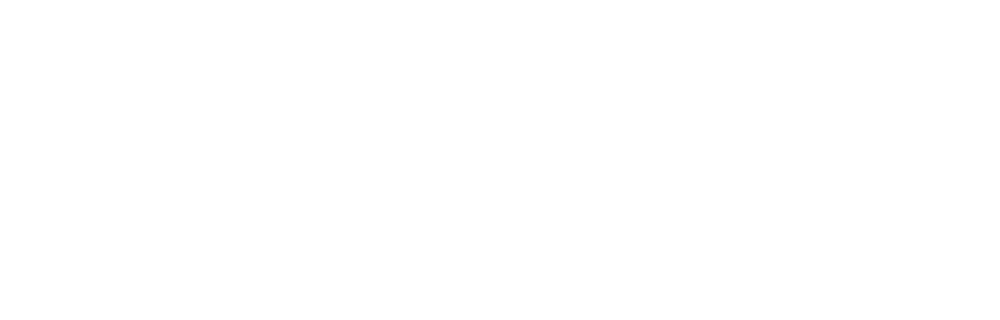 ORBI IA